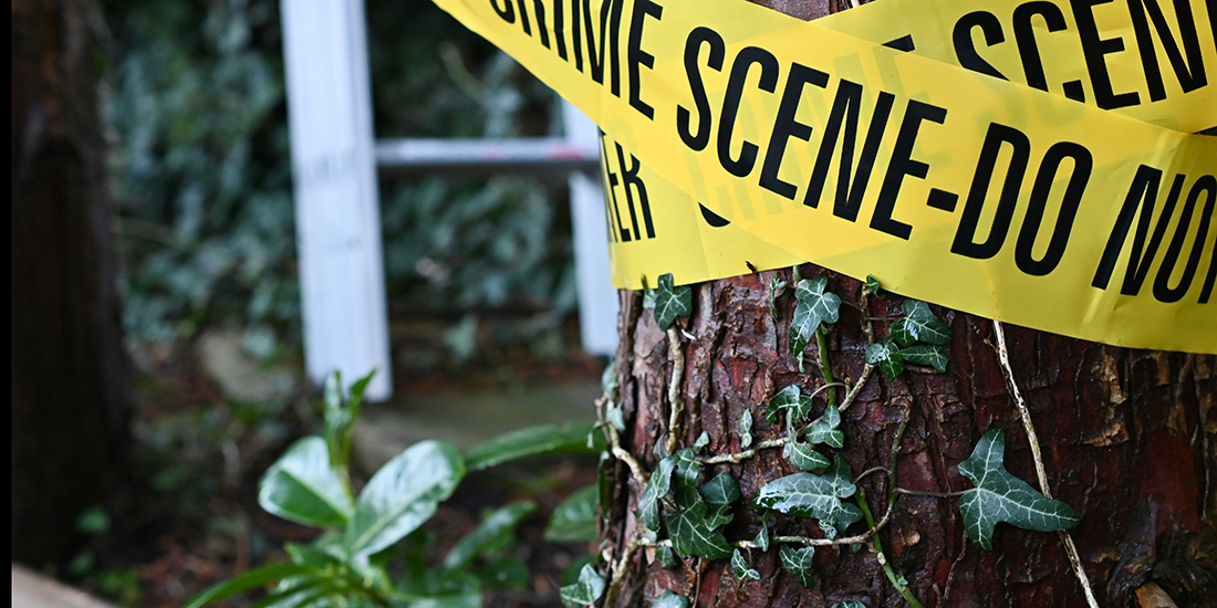 crime scene tape wrapped around a tree trunk with ivy underneath