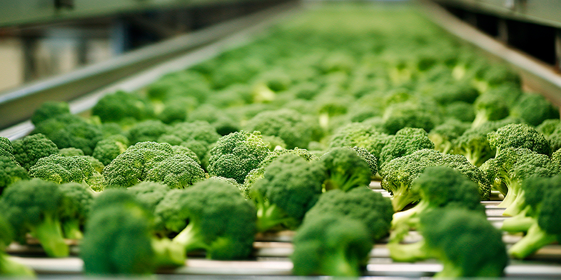 broccoli, tape in the food industry, products ready for automatic packaging. Concept with automated food production. Generative AI, Food.