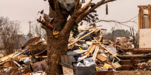 Tornado disaster devastation includes tree damage
