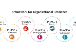 illustration of 7 phases