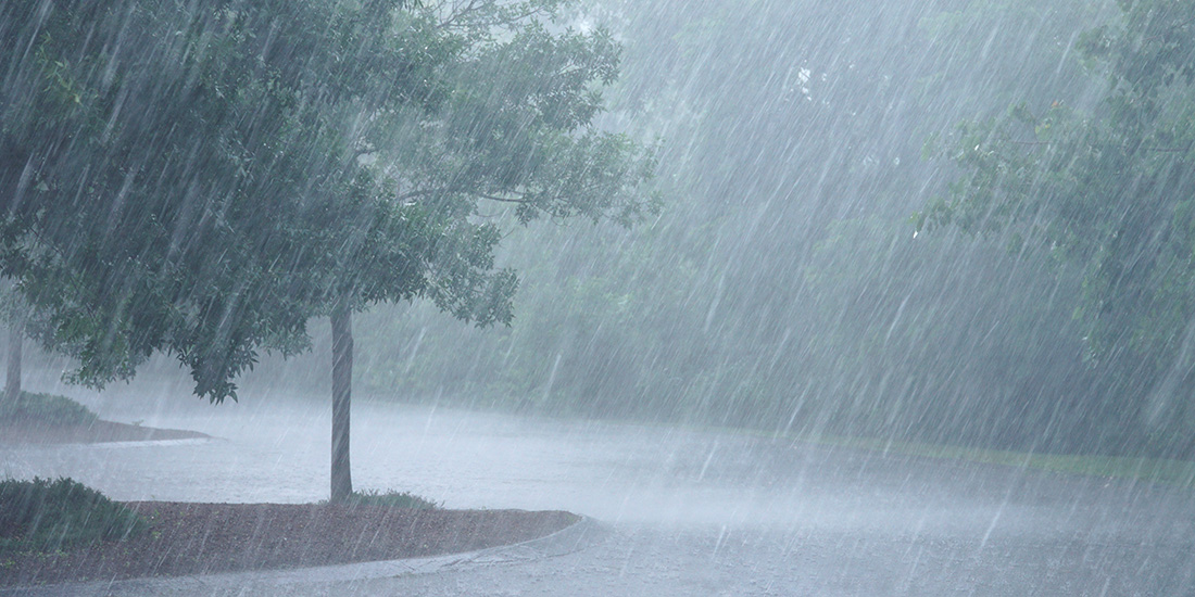 heavy rain and tree in the parking lot
