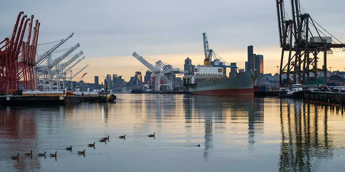 Ducks on the Duwamish Waterway amidst container ships and cranes at Harbor Island, Seattle, WA.