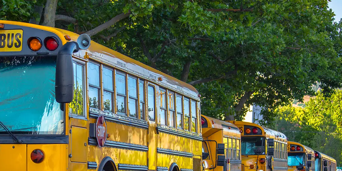 Yellow school buses parked in a line beneath large green trees. Sunlight reflects off the bus windows and sides.